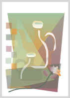 03.17.04.jpg (19188 tavu(a))