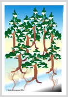 080304.jpg (51908 tavu(a))