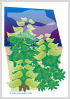 090604.jpg (42684 tavu(a))