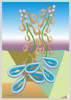 100503.jpg (33107 tavu(a))