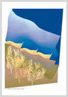 101004.jpg (30925 tavu(a))