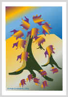 190904.jpg (30644 tavu(a))