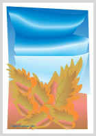 210804.jpg (26080 tavu(a))