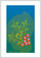 220404.jpg (22559 tavu(a))