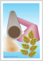 250404.jpg (36235 tavu(a))