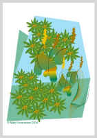 280504.jpg (44420 tavu(a))