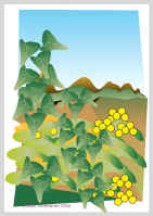 281504.jpg (41147 tavu(a))