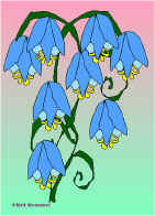 50jpg .jpg (83631 tavu(a))