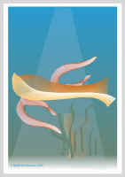 Kala.jpg (24386 tavu(a))