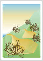 Kukkulat.jpg (36570 tavu(a))