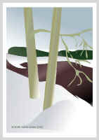 M�ki.jpg (24568 tavu(a))